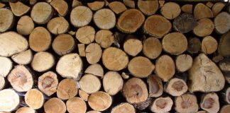 Mežizstrādātāja Kursa MRU apgrozījums pērn – 3,336 mlj. eiro