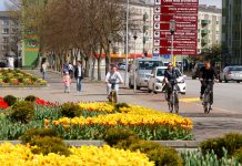 Pilsētas parkos un skvēros sākusies rudens ziedu stādīšana
