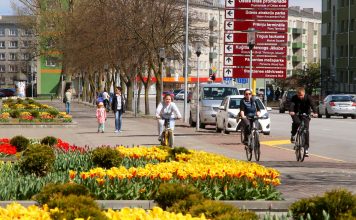 Pilsētas parkos un skvēros sākusies rudens ziedu stādīšana