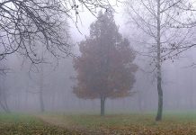 Ceturtdiena būs apmākusies, taču bez nokrišņiem