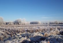 Otrdien turpinās snigt, naktī gaiss atdzisīs līdz -8 grādiem