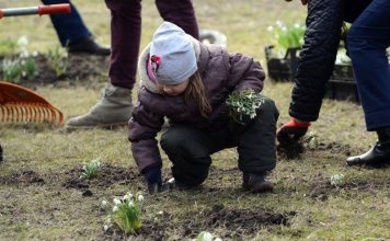 Aicina pieteikties komandas Ginesa rekorda sasniegšanai Ventspilī