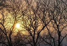 Svētdiena gaidāma saulaina, taču – auksta