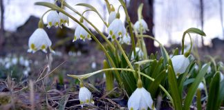 Brīvdienās aukstums atkāpsies: svētdien Kurzemes piekrastē iesils līdz +10 grādiem