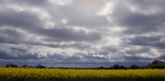 Otrdiena gaidāma mākoņaina, iespējams īslaicīgs lietus