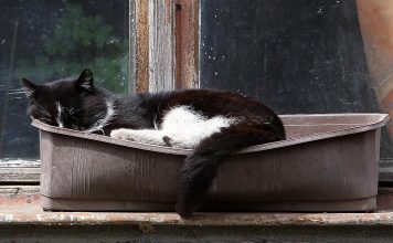 Līdz pat pirmdienai saglabāsies saulainas un siltas dienas