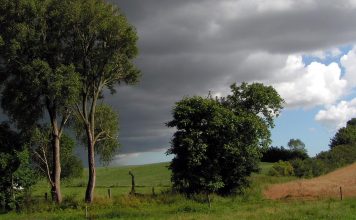 Šī nedēļa gaidāma lietaina un vēsa