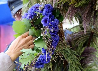 Ceturtdiena būs mākoņaina, taču bez nokrišņiem