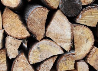 Ugālē zog malku, Tārgalē nelikumīgi pieslēdzas naftas vadam