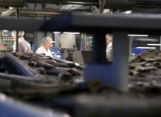 Bezdarba līmenis Ventspilī 5,7% apmērā