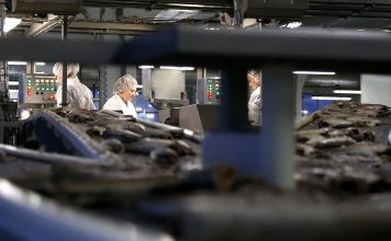 Bezdarba līmenis Ventspilī 5,7% apmērā