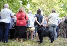 Latvijā uzticība valdībai un tiesu sistēmai – viena no zemākajām ES