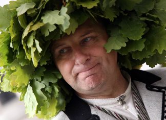 Skudra: Prezidents maldās, ja domā, ka tautas vēlēts prezidents ieviesīs uzticamību valdībai