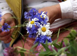 Līgo naktī Ventspils pusē iespējams īslaicīgs lietus