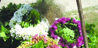 Amatu māja aicina ciemos uz ielīgošanu