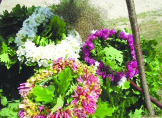 Amatu māja aicina ciemos uz ielīgošanu