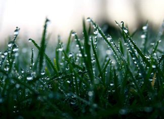 Dienas pirmajā pusē līs, bet pēcpusdienā atkal būs saulains