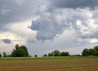 Diena būs mākoņaina, taču bez lietus