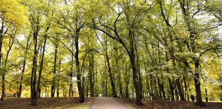 Atvasara turpināsies arī šonedēļ. Sola īpaši krāšņu zelta rudeni