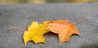 Atvasara turpināsies arī trešdien