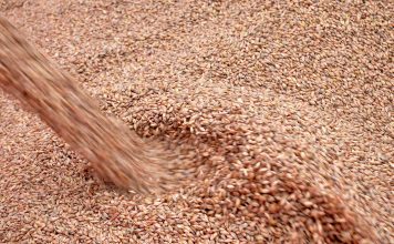 Ventspils Grain Terminal nodod ekspluatācijā jauno universālo noliktavu