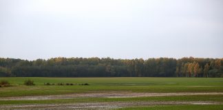 Nedēļas otrā pusē atkal kļūs aukstāks