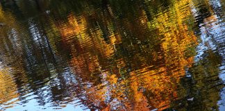 Šonedēļ saglabāsies lielākoties skaidrs un sauss laiks