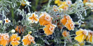 Trešdien pastiprināsies vējš, līdzi atnesot stipru lietu un pirmo sniegu