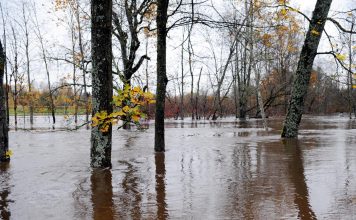 Užavā ūdens līmenis joprojām augstākais pēdējo gadu laikā