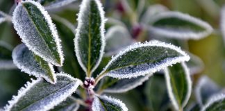 Diena būs mākoņaina un salta