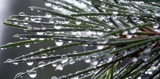 Trešdien brīžiem lietus mīsies ar sniegu