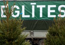 Vēl var pagūt iegādāties Ziemassvētku eglīti