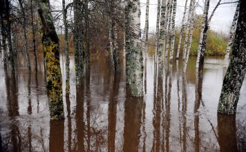 Izvirza trīs versijas, kāpēc Usmas ezerā ir tik augsts ūdens līmenis