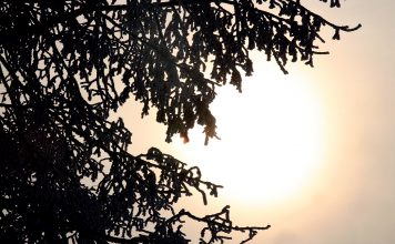 Šodien – ziemas saulgrieži jeb gada īsākā diena un garākā nakts
