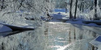 Arī ziemas turpinājumu pārsvarā prognozē siltu