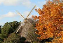 Atjaunos Ventspils Piejūras brīvdabas muzeja vējdzirnavas