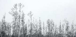 Otrdien saule mīsies ar mākoņiem, taču saglabāsies vējains laiks