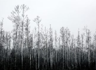 Otrdien saule mīsies ar mākoņiem, taču saglabāsies vējains laiks