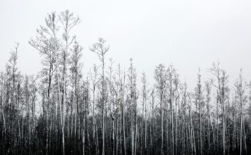 Otrdien saule mīsies ar mākoņiem, taču saglabāsies vējains laiks