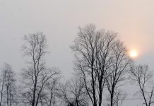 Diena būs saulaina, gaisa temperatūra pakāpsies līdz nullei