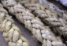 Ventspils virves vilcējiem pasaules čempionātā bronzas medaļas