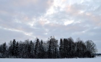 Ceturtdiena gaidāma mākoņaina un pieturēsies sals
