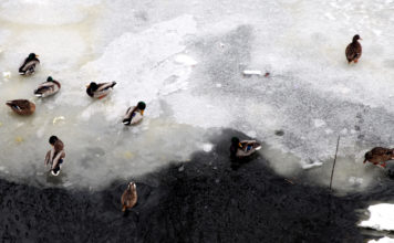 Otrdiena būs saulaina, gaisa temperatūra pakāpsies līdz 0 grādiem