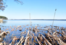 Nedēļas sākumā gaidāmi +10 grādi, bet brīvdienās atkal atgriezīsies sals
