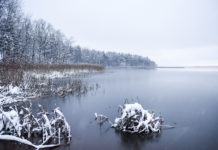 Trešdiena būs saulaina, taču auksta diena