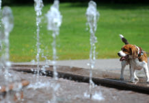 Nāc un piedalies Ventspils strūklaku modināšanā