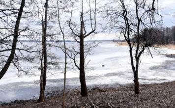 Brīvdienās brīžiem līs, gaisa temperatūra turēsies +5 grādi