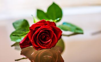 Šonedēļ populārākie vārdi – Anita un Nauris