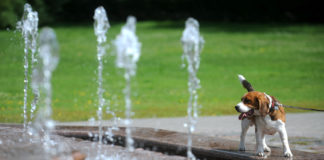 Ventspilī gaiss sakarsis jau līdz +27 grādiem