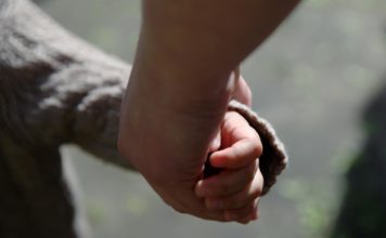 No amata uz laiku atstādināta bērnu nama Stikli vadītāja vietniece; direktoram slimības lapa